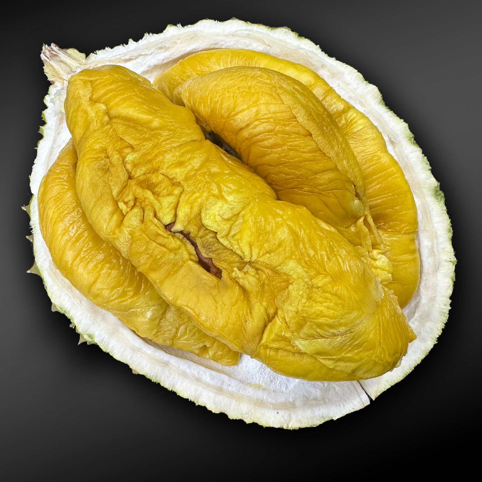 Kelantan Durians