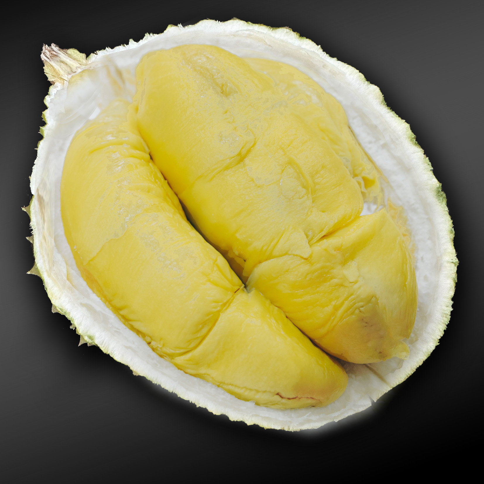 Pahang Durians