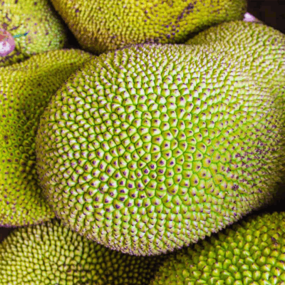 Jackfruit Pahang (500g)