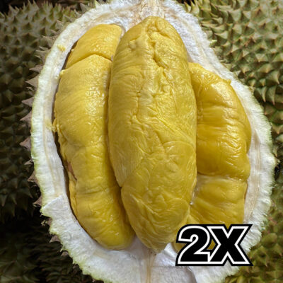 ⭐ BUNDLE: Normal MSW Durian (2 x 800g Non-Mountain Harvest ) with
