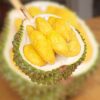 bundle1 penang Durian sg prime penang 0404