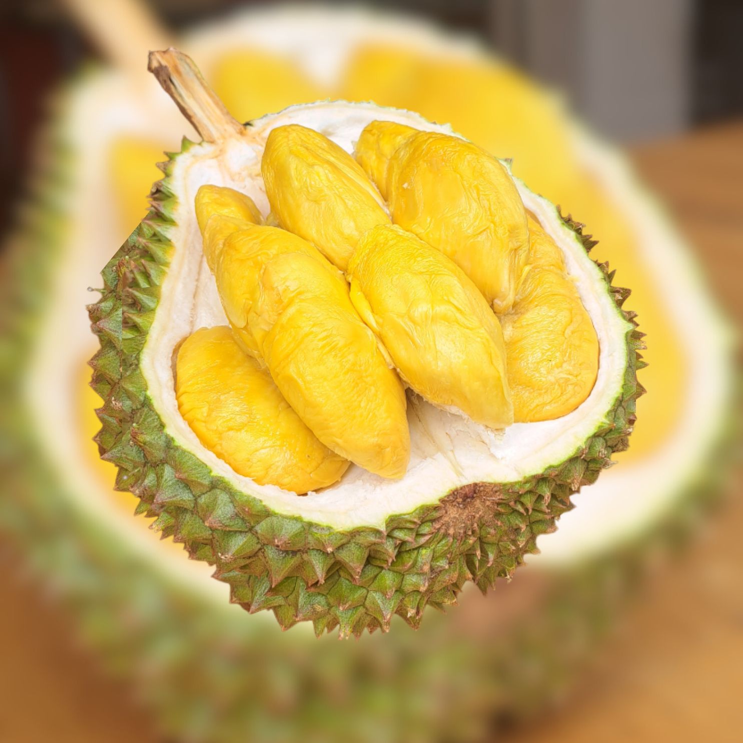 bundle1 penang Durian sg prime penang 0404