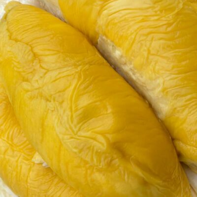 40 Years Raja kunyit