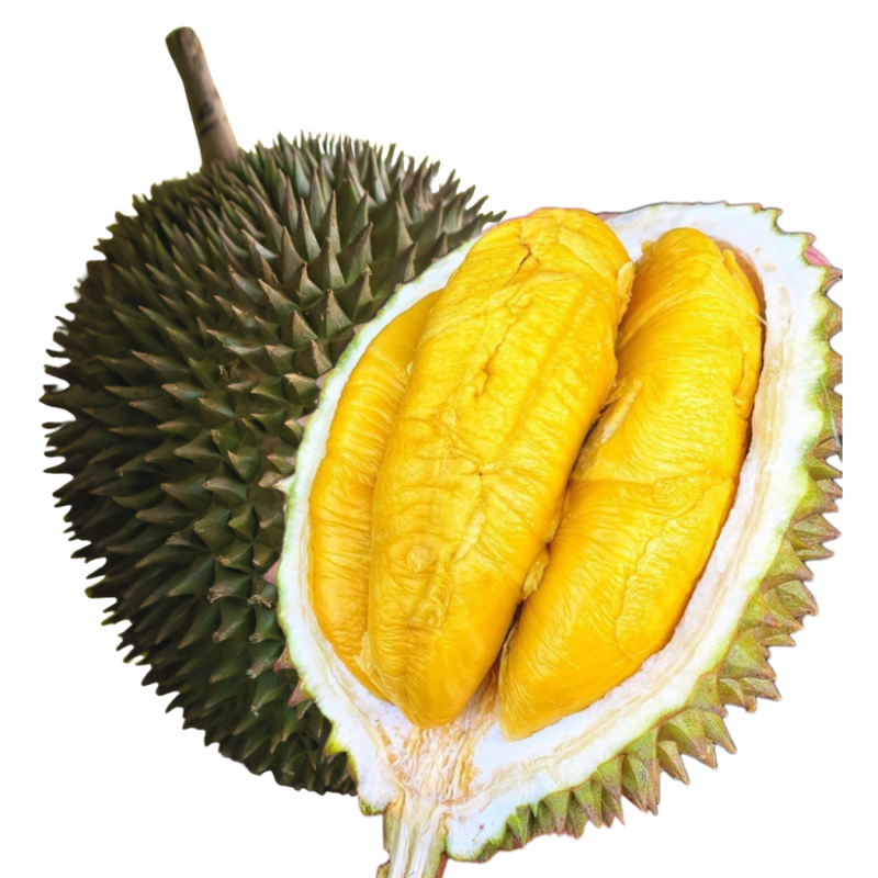 d11 durian sub img