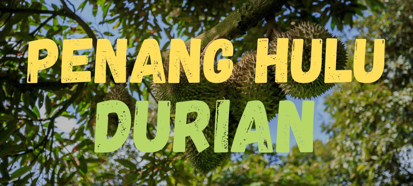 hulu durian