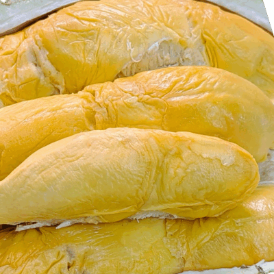 Yuan bao durian