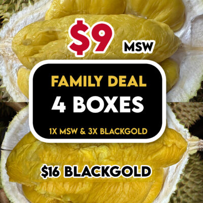 👪 4 in 1 (TIGER) Family Bundle: 3x BlackGold + 1x Normal MSW