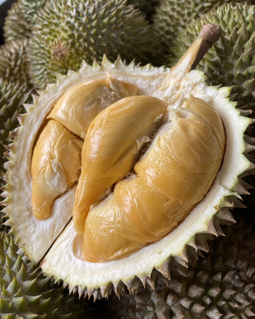 ⚠️ Rare ⚠️ Penang Red Prawn (800g Box - All Meat)