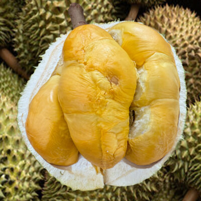 🔥Penang Black Thorn Durian (800g Box - All Meat)