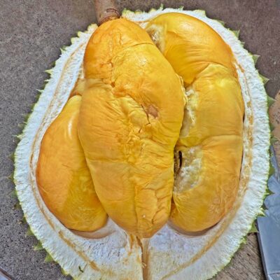 🔥BUNDLE: Penang Black Thorn Durian (2 x 800g)
