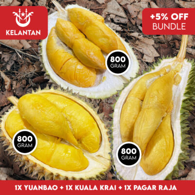 3 in1 (Kelantan) Bundle: 1x Kuala Krai + 1x Yuan Bao + 1x Pagar Raja
